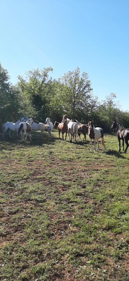 Gites Les Ecuries Saserang Mouilleron Exterior foto